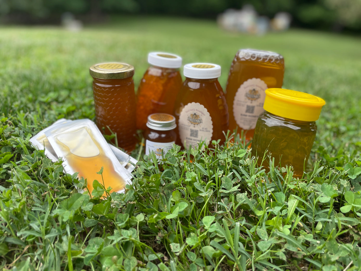 Variety of size and style honey bottles in the grass. 