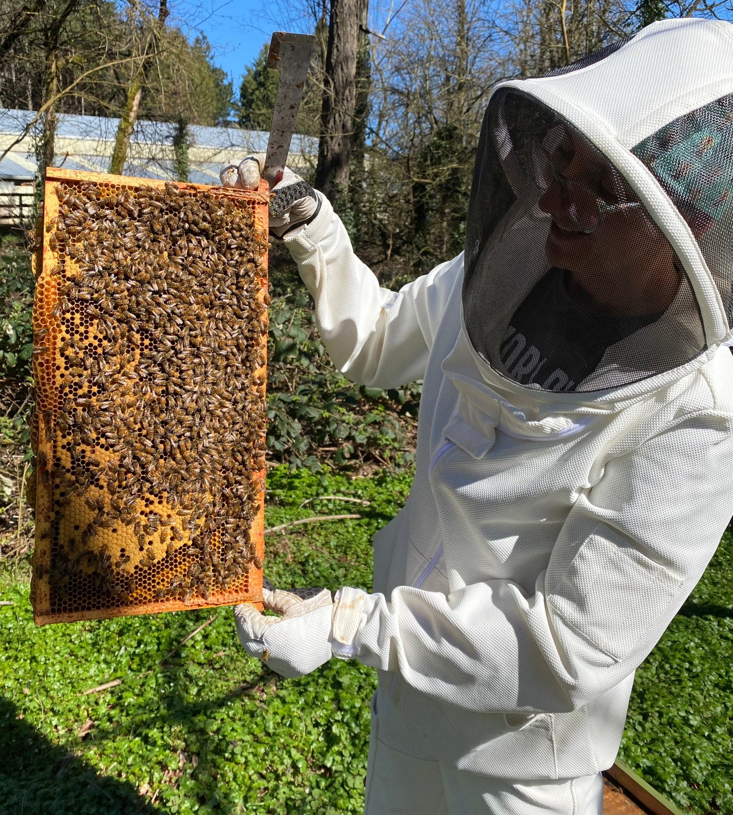 UVBee™ Beekeeping Jacket