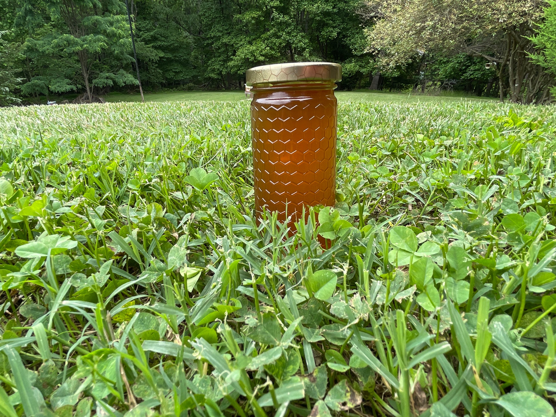 12 oz Cylinder jar of raw honey