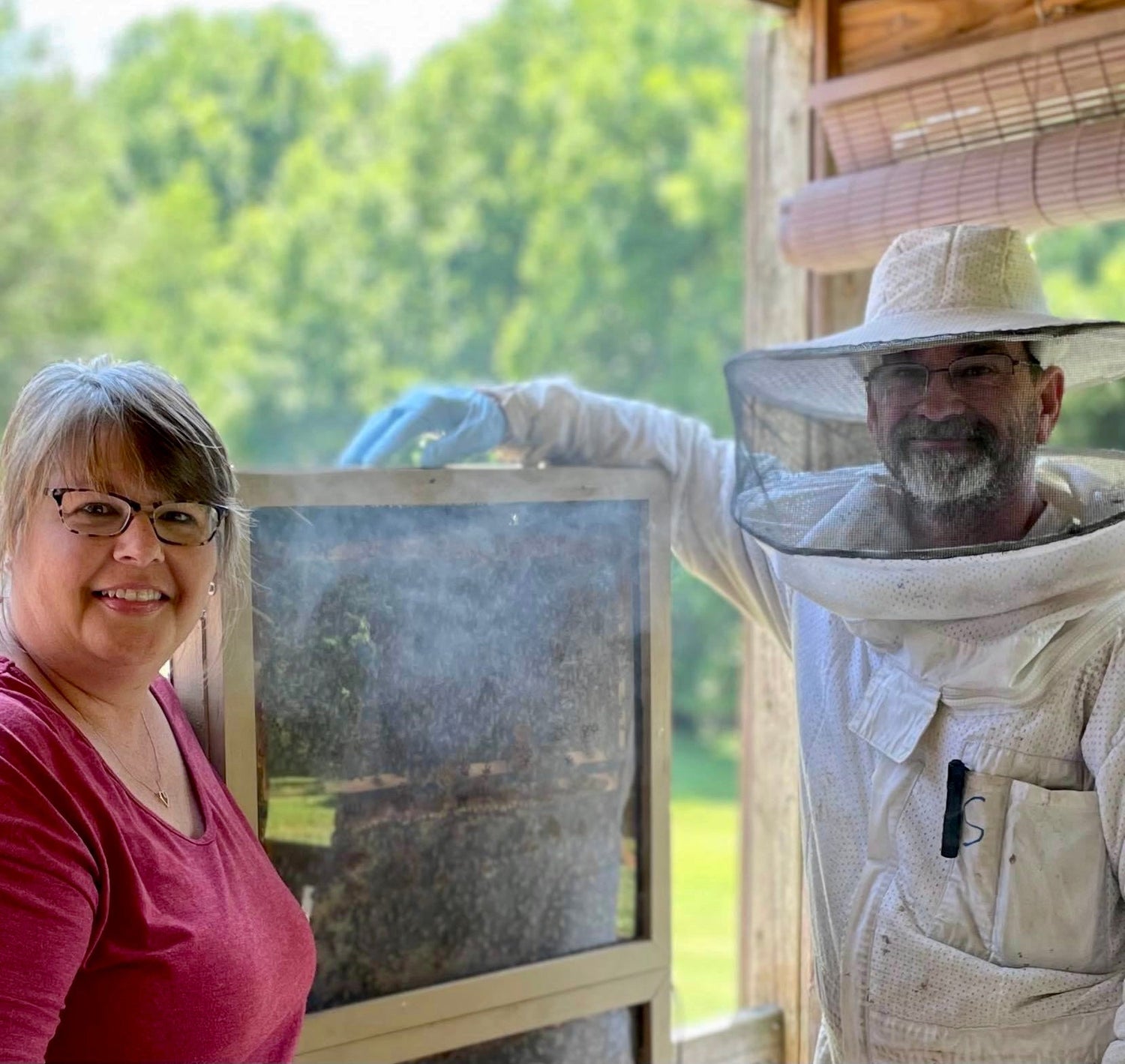 Observation hive with beekeeper