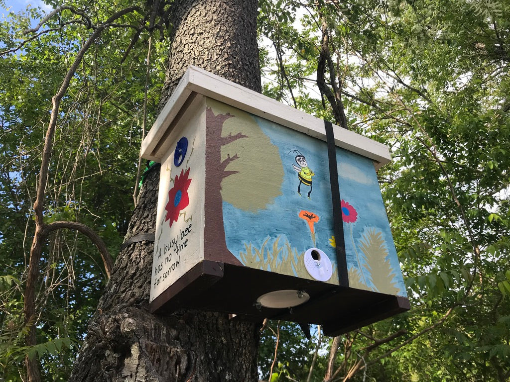 A colorful swarm trap strapped to a tree.