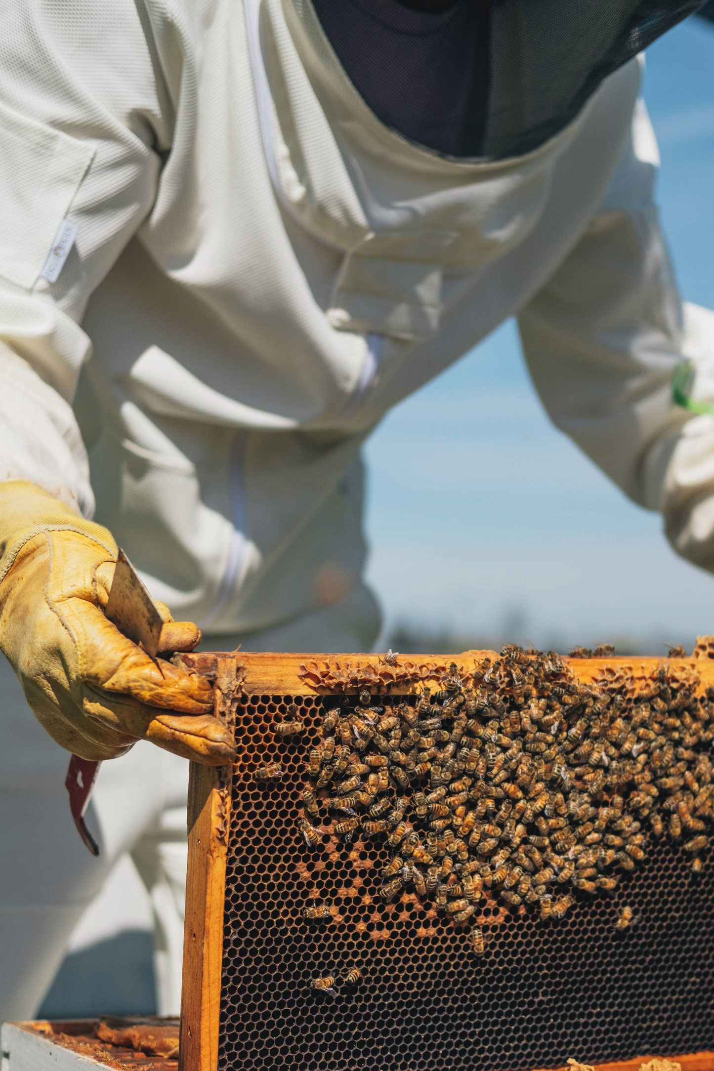 UVBee™ Beekeeping Jacket