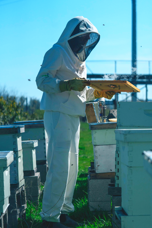 UVBee™ Beekeeping Pants
