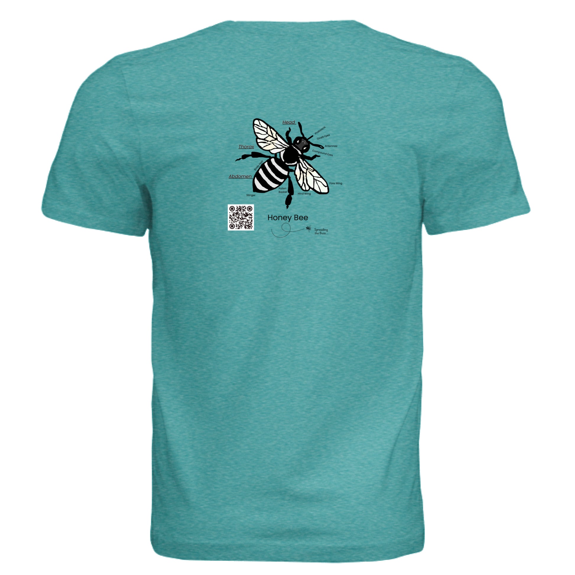 TEAL TRIBLEND - BACK