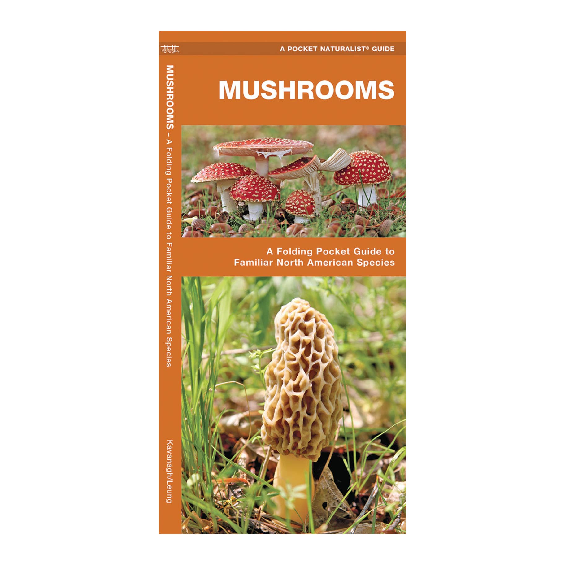 SOLD-OUT Mushroom Guide